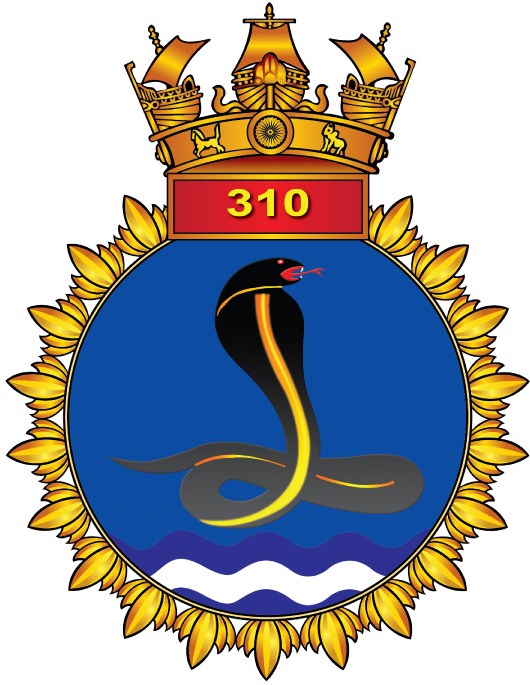 INAS 310 – The Cobras