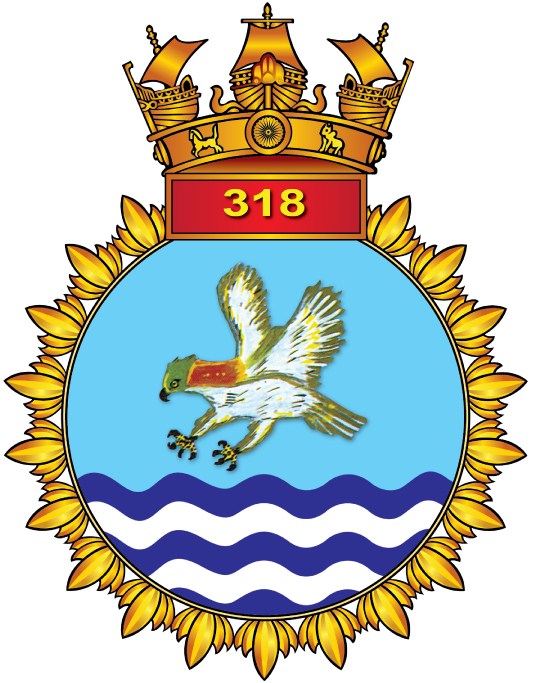 INAS 318 – The Hawks