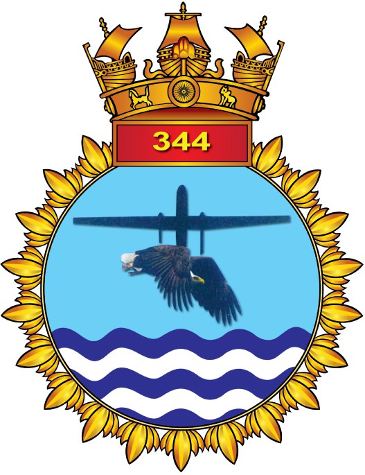 INAS 339 – The Falcons