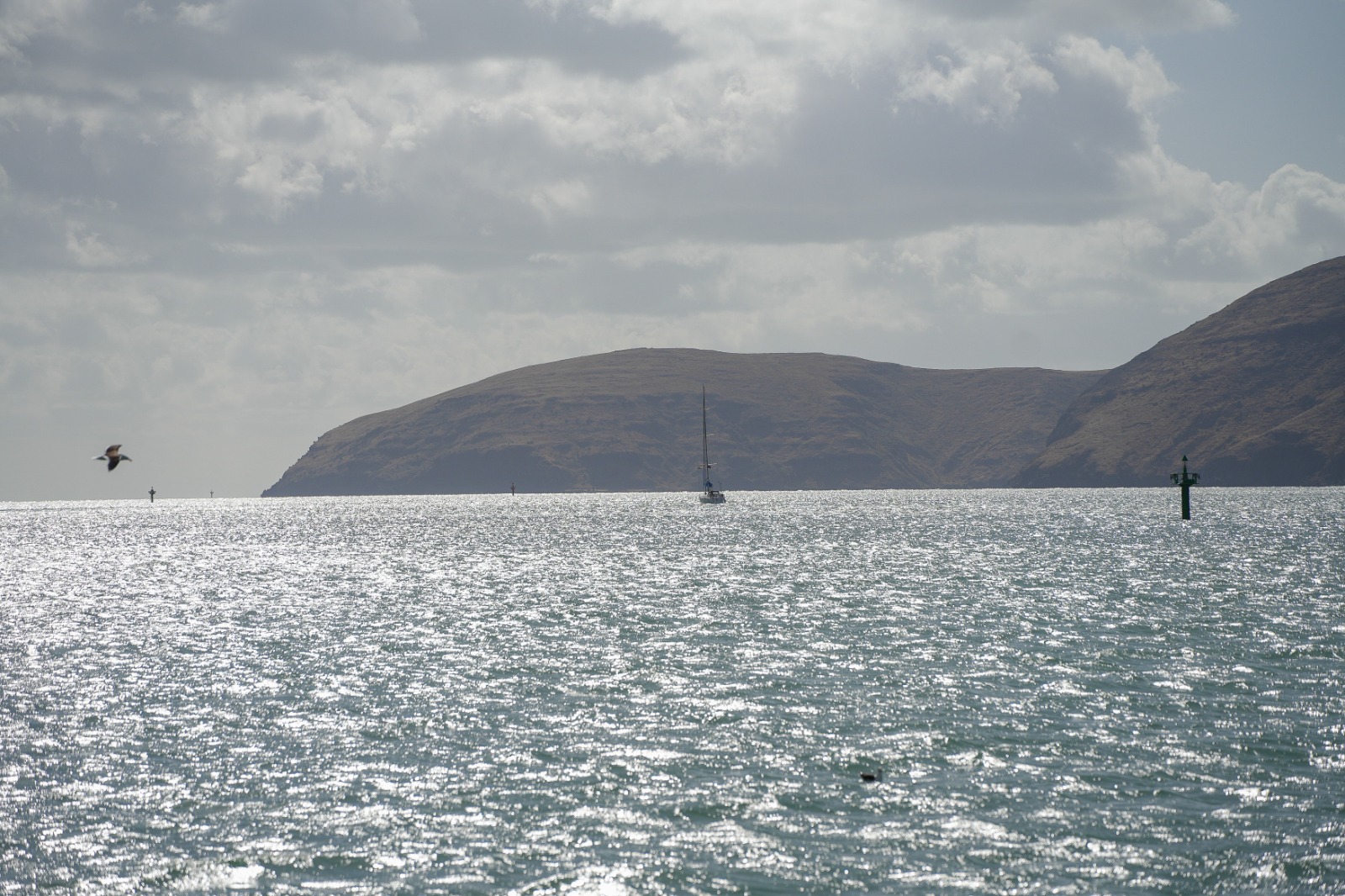 Navika Agar Parikrama II - INSV Tarini Departs from Lyttelton