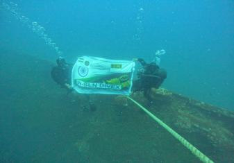 IN-SLN DIVEX 2026