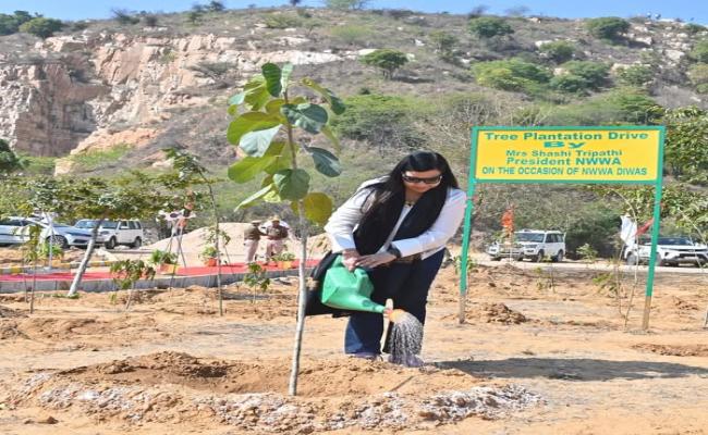 प्रकृति के बारे में सोचें, भविष्य के बारे में सोचें: एन.डब्ल्यू.डब्ल्यू.ए. के साथ हरित कल की ओर