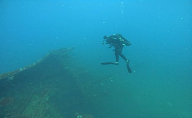 IN-SLN DIVEX 2026